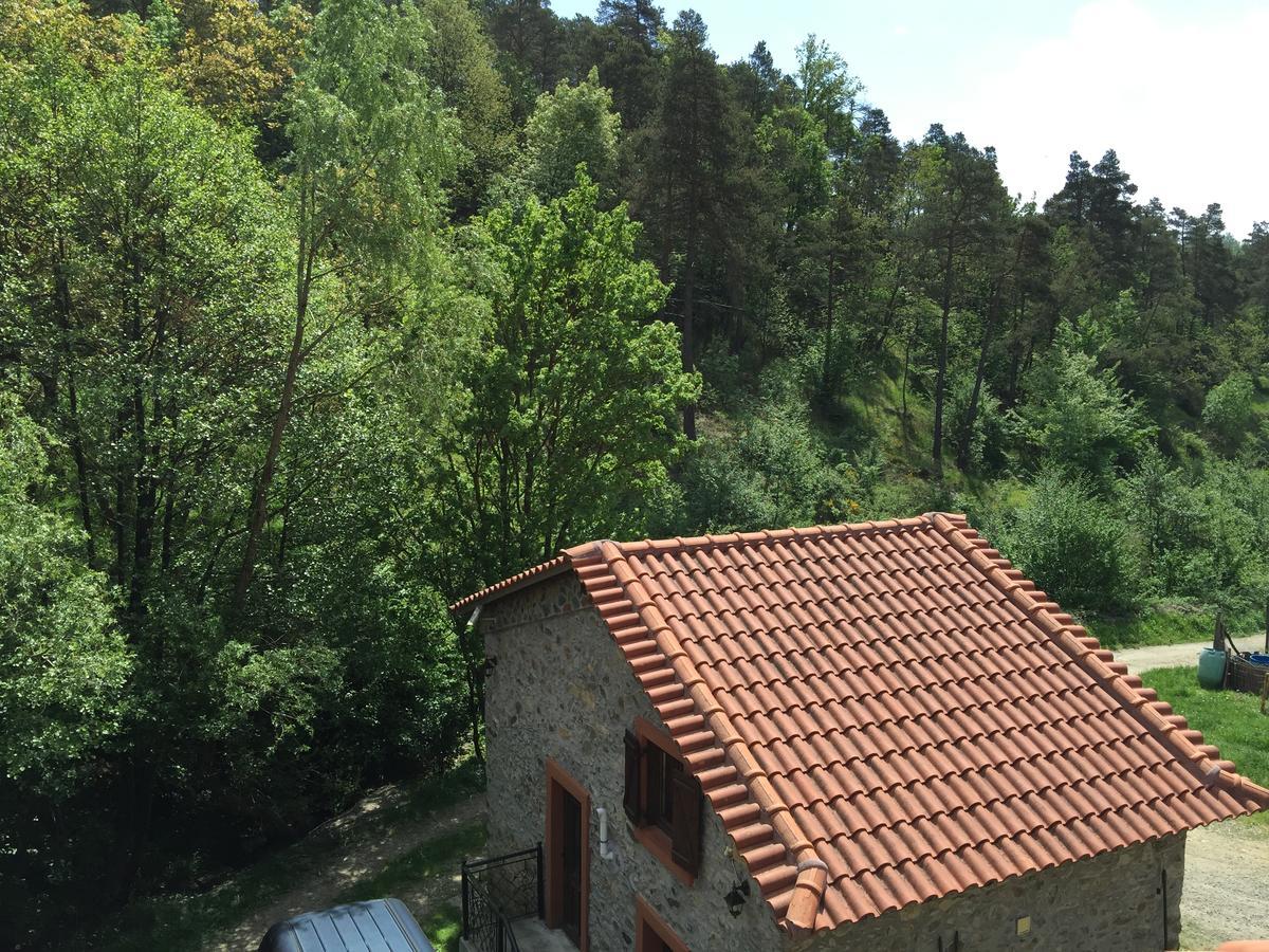 Giusvalla Forest Village Dego المظهر الخارجي الصورة