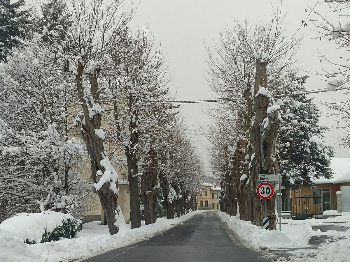 Giusvalla Forest Village Dego المظهر الخارجي الصورة