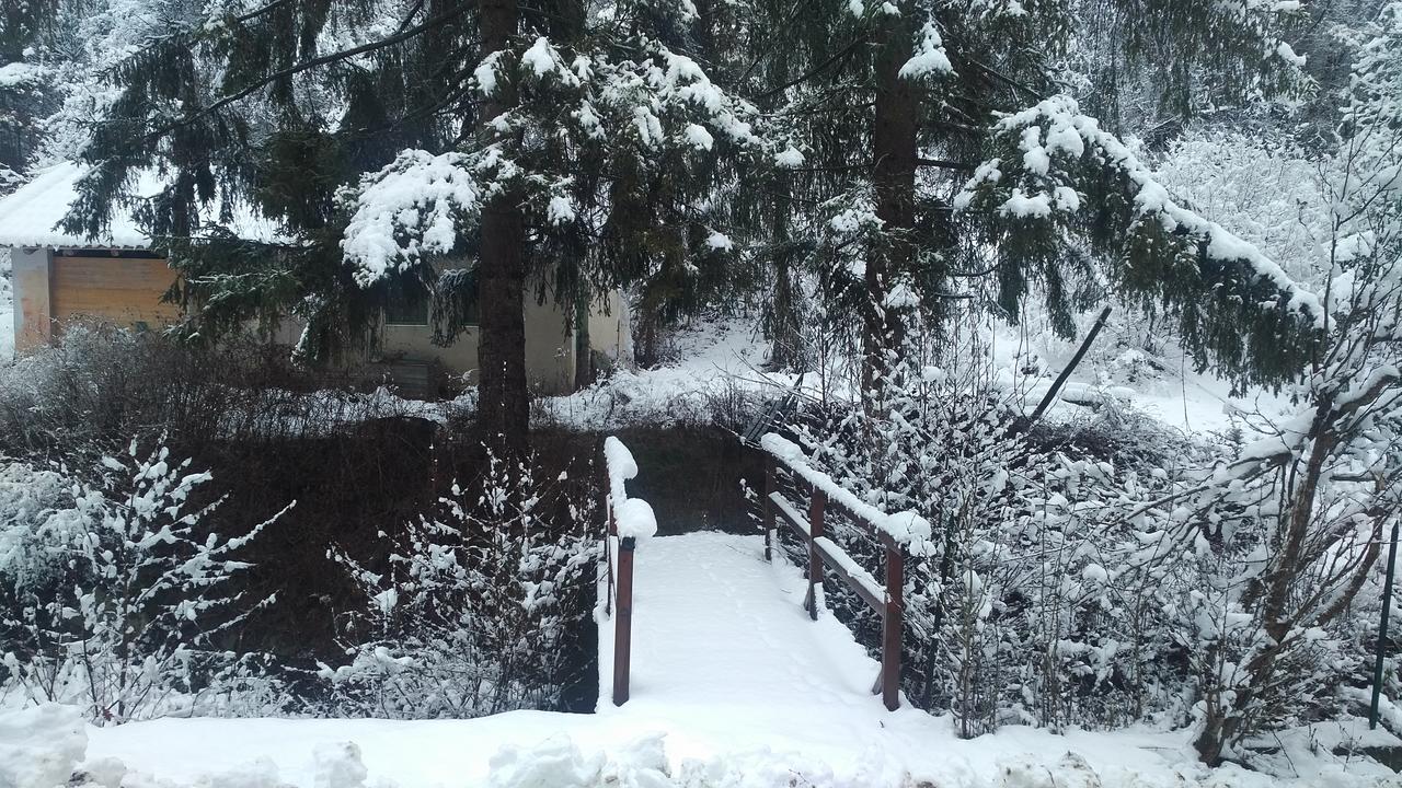 Giusvalla Forest Village Dego المظهر الخارجي الصورة