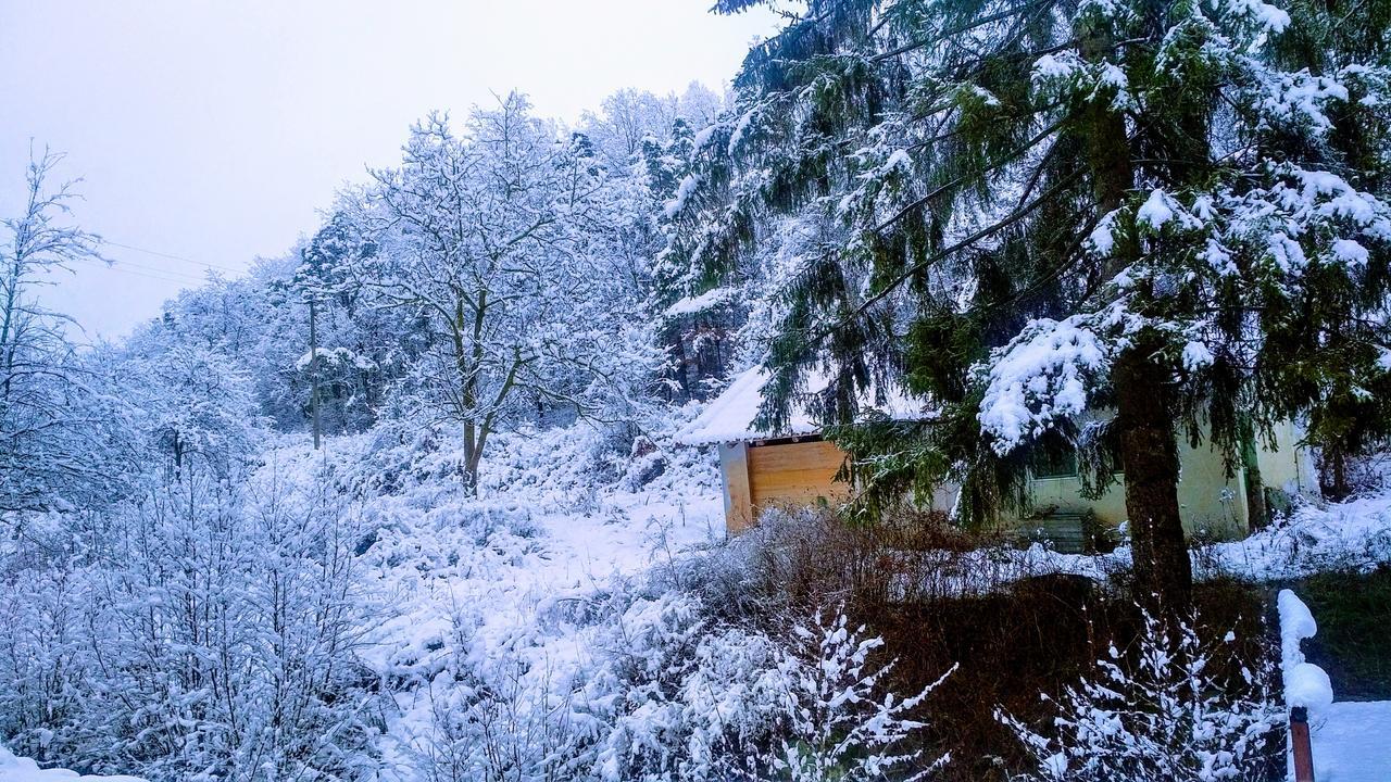 Giusvalla Forest Village Dego المظهر الخارجي الصورة